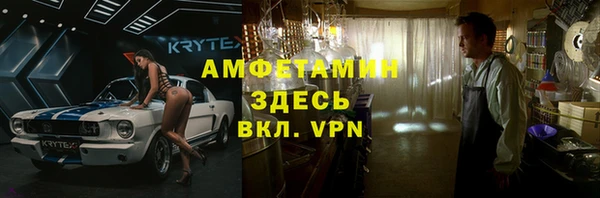 индика Богородицк