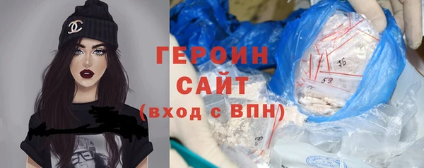 индика Богородицк