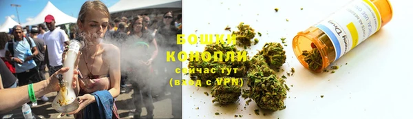 таблы Бородино