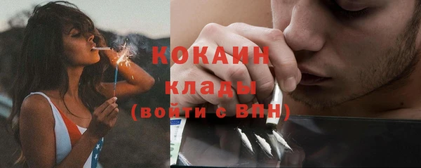 индика Богородицк