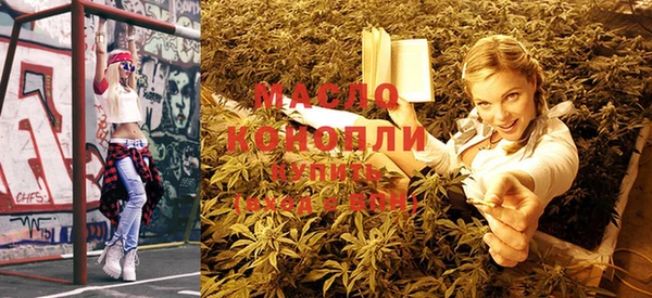 индика Богородицк