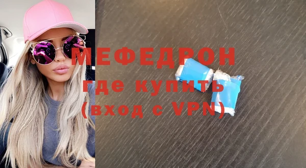индика Богородицк