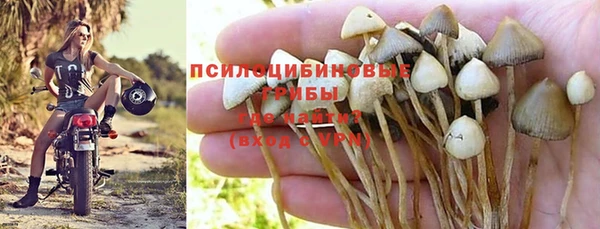 индика Богородицк