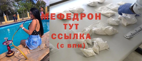 индика Богородицк