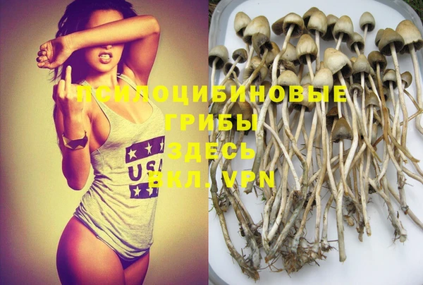 винт Богданович