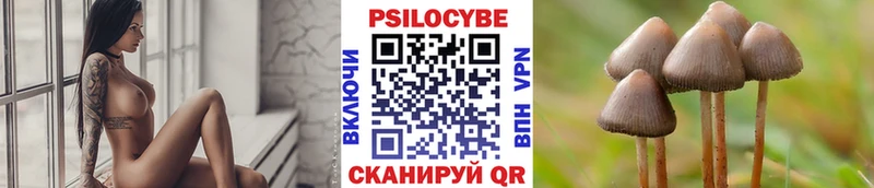 Псилоцибиновые грибы Psilocybine cubensis Горняк